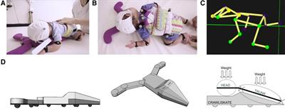 Stimulating the motor development of very premature infants: effects of early crawling training on a mini-skateboard